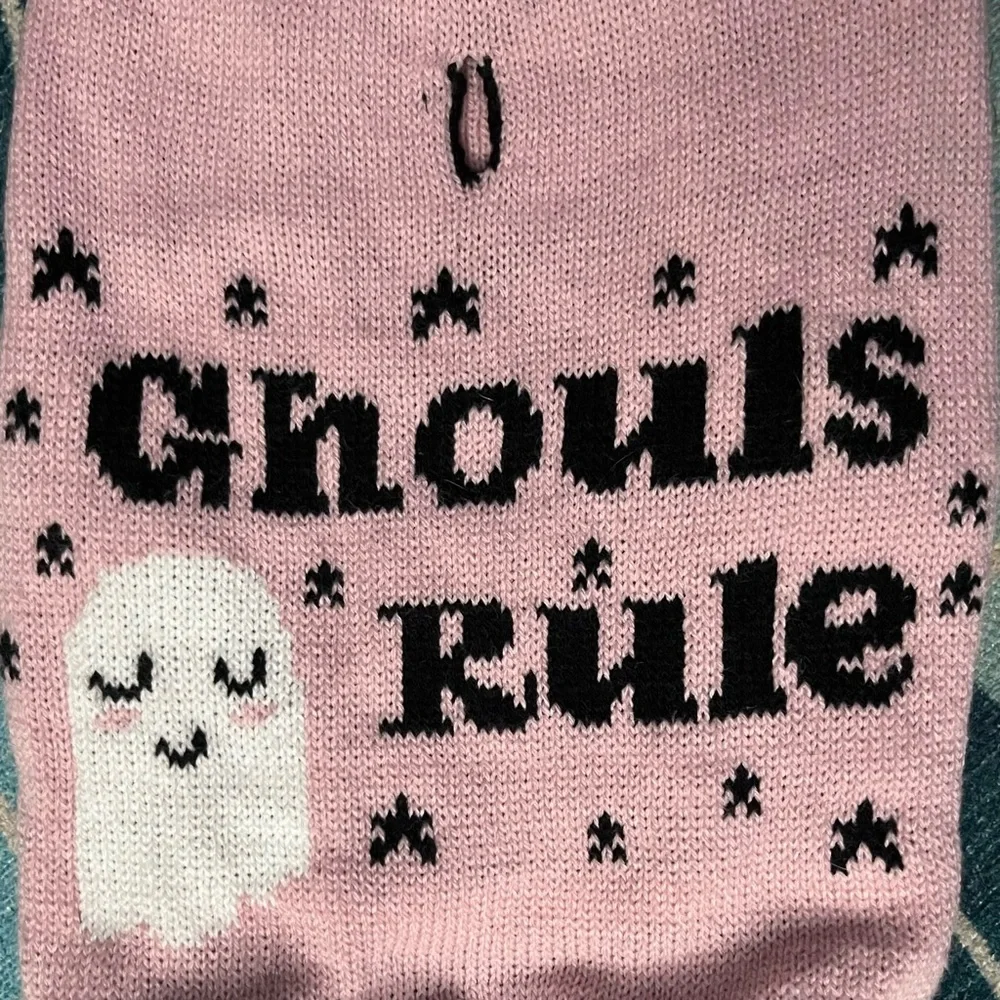 NWT Ghouls Rule Pink Ghost Girl Halloween Fall Dog Hoodie - Size Large